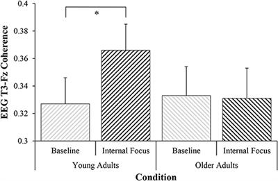 Revisiting the Relationship Between Internal Focus and Balance Control in Young and Older Adults